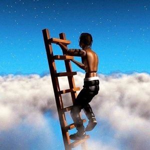 Meet your Posher, Frank